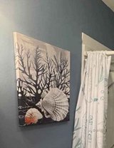 Canvas Seashell And ?? coral art in Alamogordo, New Mexico