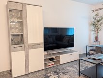 TV Stand and Display Case in Stuttgart, GE