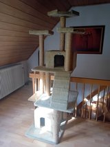 7ft Kitty Tree in Ramstein, Germany
