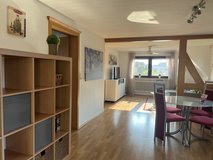 Furnished Apartment w/ gym in Stuttgart, GE