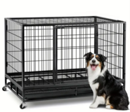 ISO XL Kennel in Alamogordo, New Mexico