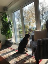 PARK VIEW HOME / Fully Fenced Yard in Stuttgart, GE