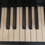 3 keyboards w/stands 220V in Ramstein, Germany