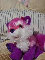Pink Fox in Bolingbrook, Illinois