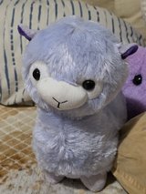 Purple Llama in Bolingbrook, Illinois