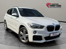 2019 BMW X1 xDrive28i w/M Sport Package in Plainfield, Illinois