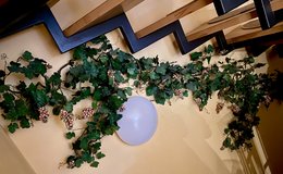Bendable Grape Garland in Ramstein, Germany