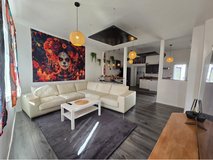 TLA Apartment 3 Rooms with man cave in Ramstein, Germany