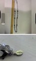 jewelry liquidation everything $4 each in Kingwood, Texas