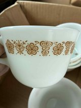 corell butterfly pattern in Fort Leonard Wood, Missouri