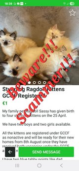 Beware, this is a scam!! in Ramstein, Germany