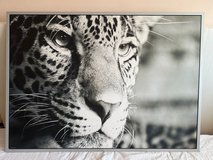 IKEA 140x110 Leopard Picture in Stuttgart, GE
