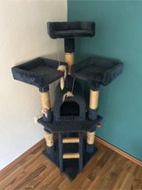 cat tree in Ramstein, Germany