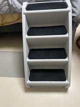 Doggie steps in Okinawa, Japan