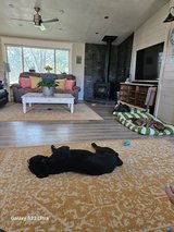 Farmhouse Coffee Table in Alamogordo, New Mexico