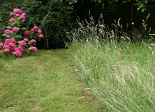 YARD & GARDEN CARE in Baumholder, GE