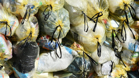 TRASH & JUNK REMOVAL in Baumholder, GE