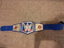 2014 WWE belt in Beaufort, South Carolina