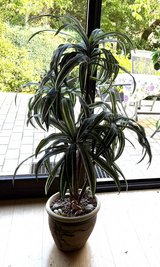 Artificial plants in Ramstein, Germany
