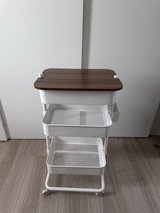 Printer Stand in Okinawa, Japan