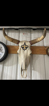 Bull horn in Leesville, Louisiana