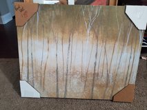 Forrest picture in Warner Robins, Georgia