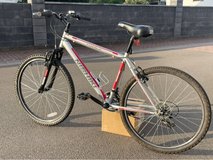 bike 26/M in Ramstein, Germany