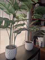 Two white vases planers w greenery in Alamogordo, New Mexico