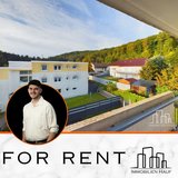 Modern 4-Bed Apartment with Built-in Kitchen in Quiet Landstuhl Area in Ramstein, Germany
