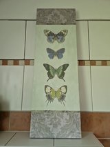 Butterfly picture in Ramstein, Germany