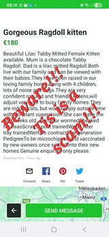 This is a scam!!! in Baumholder, GE