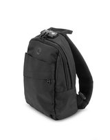 Skunk bag in Alamogordo, New Mexico
