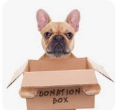 *Wanted* Donations for Dog shelter in Stuttgart, GE