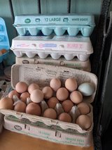 Fresh eggs in Alamogordo, New Mexico