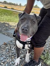 Are You Ready For Cena! in Travis AFB, California