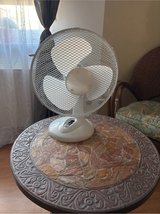 Fan medium suze in Ramstein, Germany