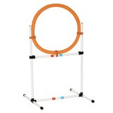 Shop Dog Agility Equipment for Training & Fun  - K9 Escapade in Kansas City, Missouri