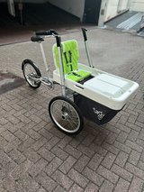 Family bike 2 kids seats with harness in Stuttgart, GE