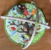 Skip Hop Treetop Friends Infant / Baby Activity Gym in Naperville, Illinois