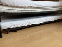 Make An Offer. Must be fine today (or tomorrow) Family room in Ramstein, Germany