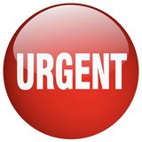 >>>URGENT >>>Furniture-Junk Removal / Entrümpelung in Ramstein, Germany