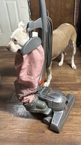 Kirby Sentria Vacuum pre-owned in Alamogordo, New Mexico