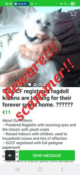 People beware!!! Scam!!! in Baumholder, GE