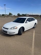 Impala in Alamogordo, New Mexico