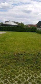 Last minute yard cleaning up/pcs cleaning/Trash removal/landscaping/moving services in Wiesbaden, GE