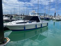 30' Yamaha Dive / Fishing Boat in Okinawa, Japan