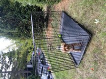 Very Large Pet Cage  indoor/outdoor in Stuttgart, GE