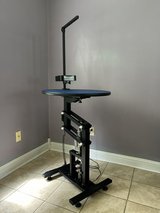 Hydraulic Lifting Dog/Cat Grooming 24 inch diameter Table w/Foldable Arm-Like New Condition in Camp Lejeune, North Carolina