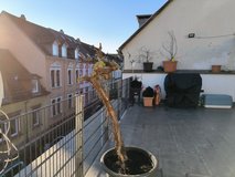TLA/TDY downtown K-town 2BR 1BA w/ roof top terrace [ref: F38D] in Ramstein, Germany