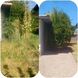 Justin's Lawn Care LLC in Alamogordo, New Mexico